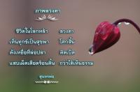 การ์ดธรรมะ