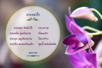 การ์ดธรรมะ