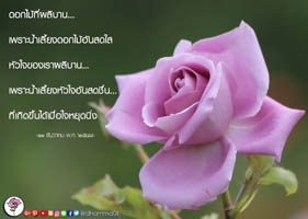 การ์ดธรรมะ