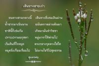 การ์ดธรรมะ