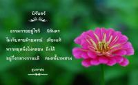 การ์ดธรรมะ