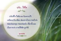 การ์ดธรรมะ