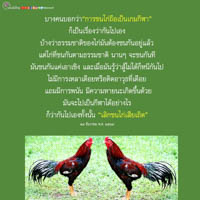 การ์ดธรรมะ