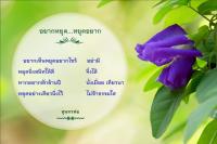 การ์ดธรรมะ