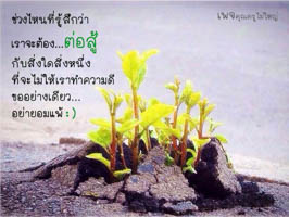 การ์ดธรรมะ