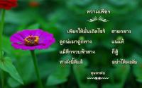 การ์ดธรรมะ