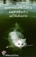 การ์ดธรรมะ