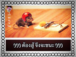 การ์ดธรรมะ