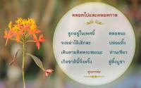 การ์ดธรรมะ