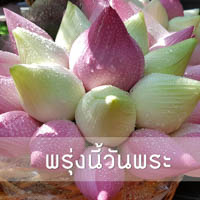 การ์ดธรรมะ