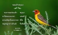 การ์ดธรรมะ