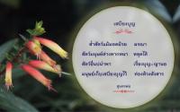 การ์ดธรรมะ