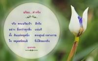 การ์ดธรรมะ