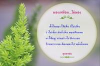 การ์ดธรรมะ