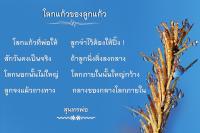 การ์ดธรรมะ