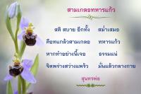การ์ดธรรมะ