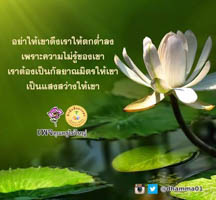 การ์ดธรรมะ